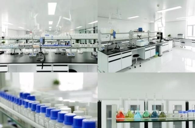 麥吉麗亞太研發中心盛大開幕 以創新科研為引擎，助推國貨化妝品走向世界